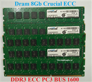 Bộ nhớ RAM ECC Registered 8Gb Ecc DDR3 Bus 1600