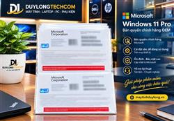 Phần mềm Microsoft Windows 11 Pro 64Bit English 1PK DSP OEI DVD - Version 25H2